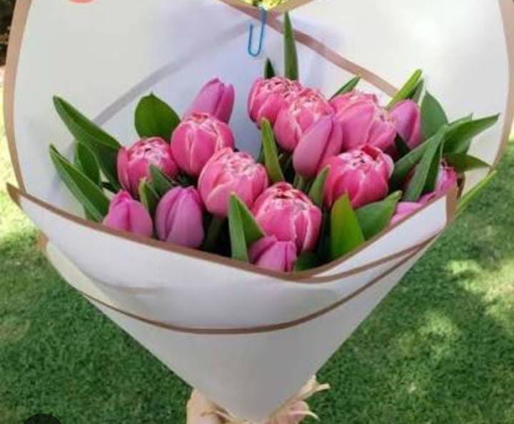 La Promesa del Color