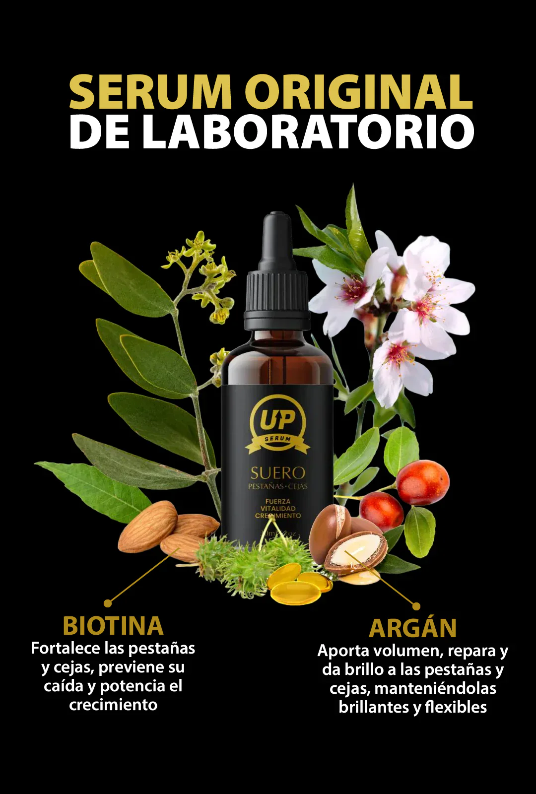 SERUM UP PRO® Alargamiento de pestañas y cejas - ENVIO GRÁTIS